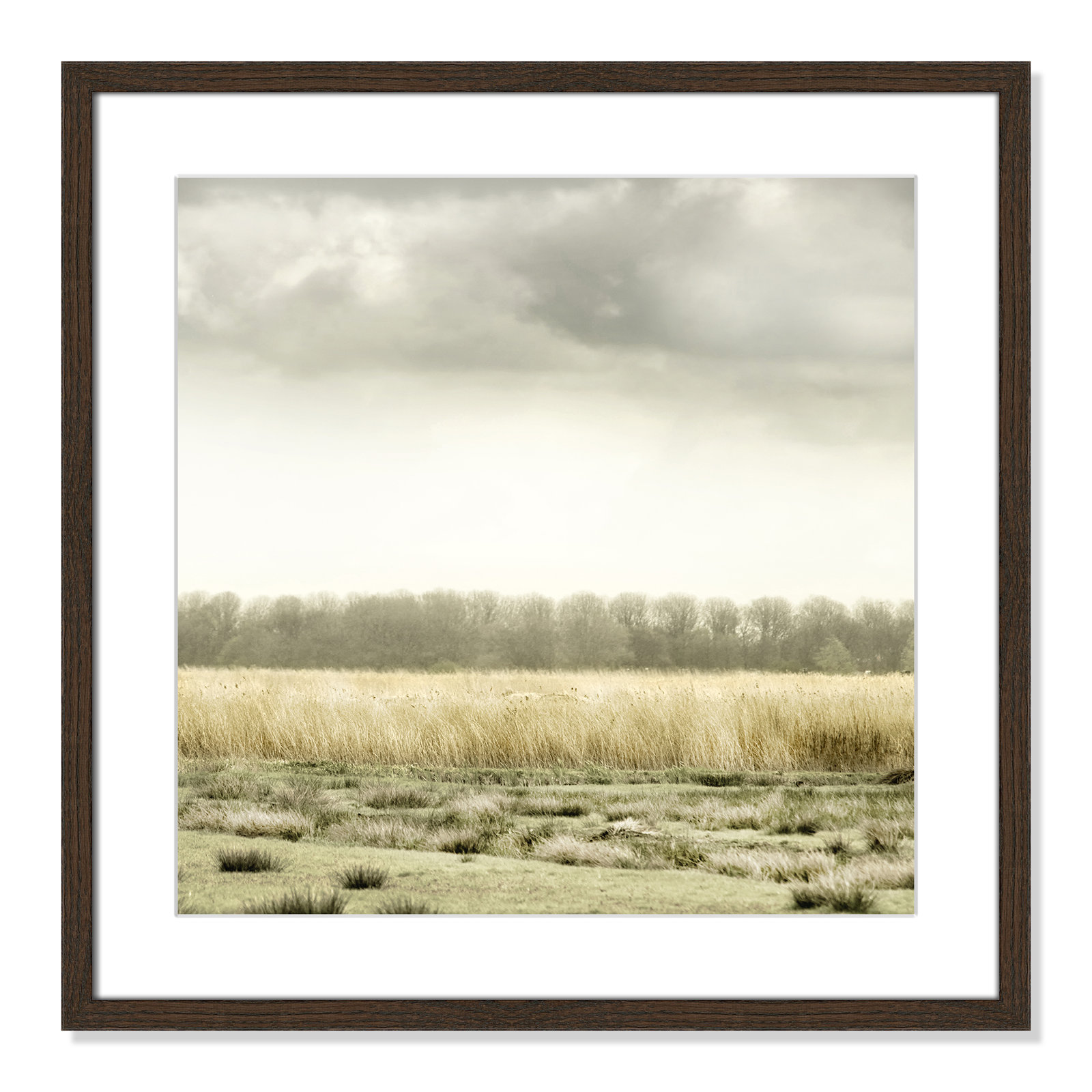 Henri "Meadowland" Print by Danita Delimont, 23.5" H x 23.5" W, Walnut Wood Grain