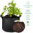 Tonecia Nursery Pot-2010359610