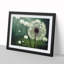 Blissful Dandelion Flowers - Framed Print-1905886158-1905886155