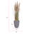 71.1 " H Faux Pampas Grass Plant