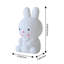 DIY Bunny Night Light Craft Painting Kit