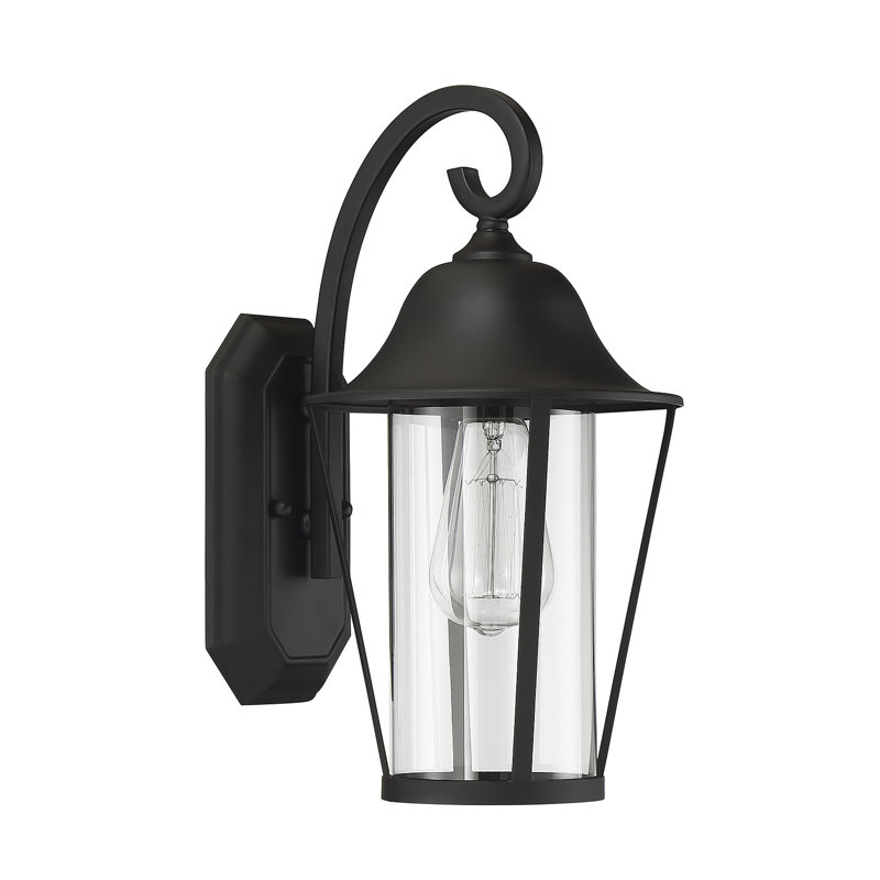 Salome Outdoor Wall Lantern