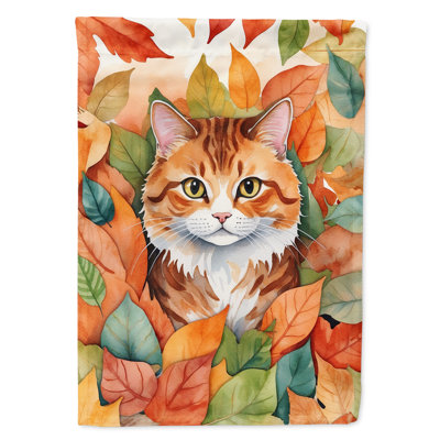Chat en feuilles d'automne