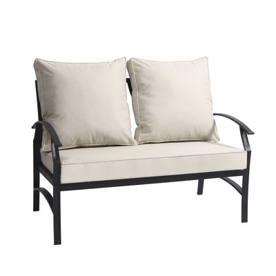 Nickita Metal Outdoor Loveseat with Cushions