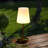 Metal Desk Lamp-490714027