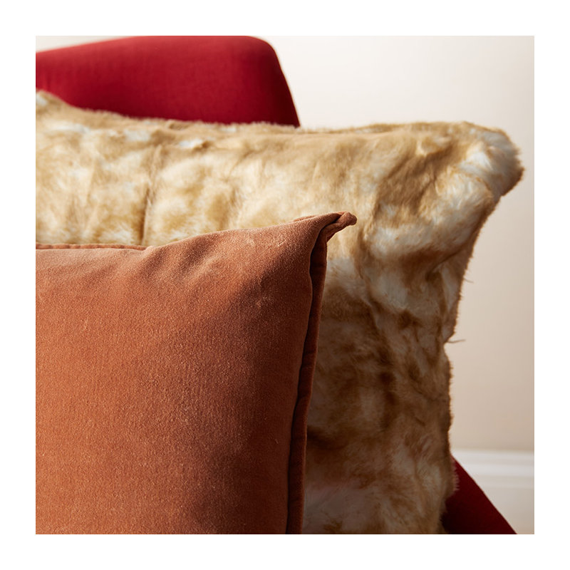 Coussin décoratif