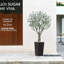 Olive artificielle résistante aux rayons UV avec grand pot de fleurs, olivier artificiel pour la décoration extérieure-1274532125-1268355004