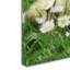 'Easter Chicks' Print on Canvas-21649643