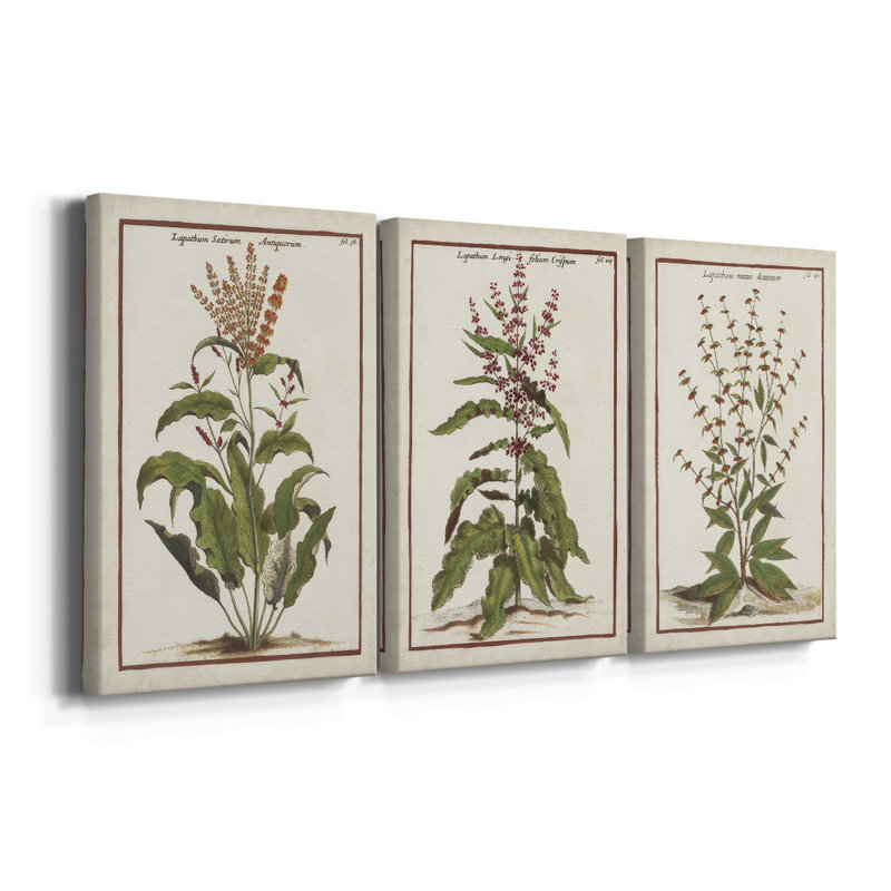 Munting Botanicals I - Toile tendue avec châssis sur mesure - 3 pièces, H 48 po x l 96 po, Impression sans cadre