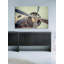 Ryan Hartson-Weddle - Wrapped Canvas Print-20254520