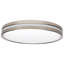 Meschelle Flush Mount with Night Light 5 CCT Selectable