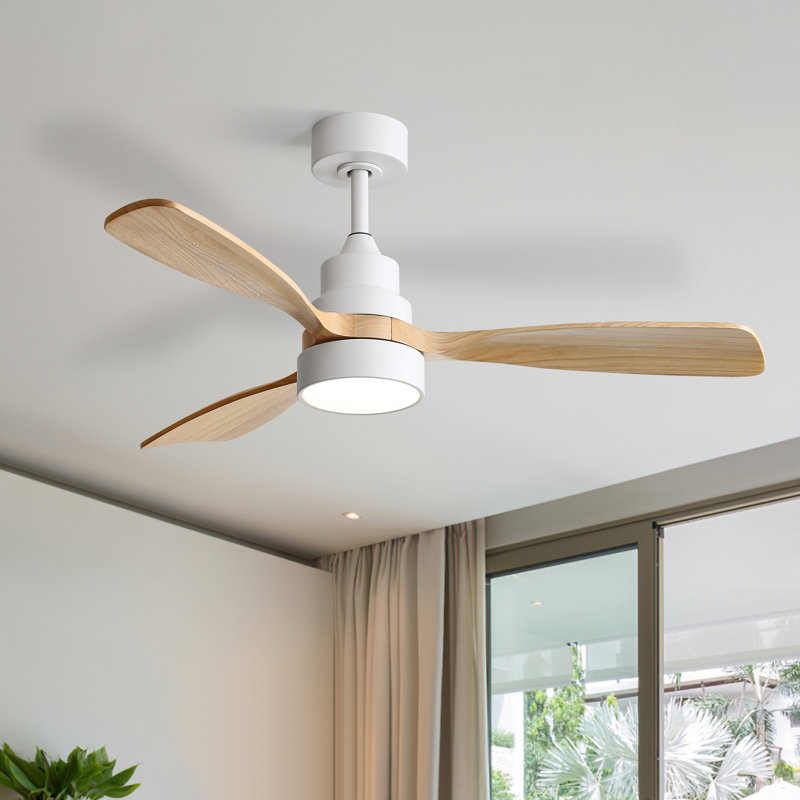 Ventilateur de plafond moderne à 3 pales 48 po avec télécommande et ensemble d'éclairage Nicola