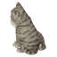 Chatons étreignant-67579696