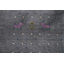 Tapis tribal gris Gabbeh 10