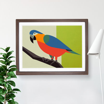 XH1022-6789X Parrot Vol.5 1 Piece Single Picture Frame Wall Art