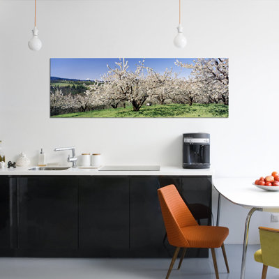 " Cherry Blossoms In Bloom, Columbia River Gorge, Oregon, USA " by Panoramic Images
