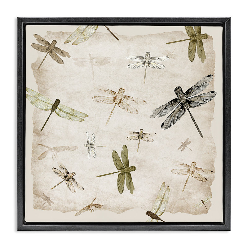 Cadre flottant Glide In Grace Dragonflies, design par Jacob Q, Cadre flottant noir de jais, H 18 po x l 18 po