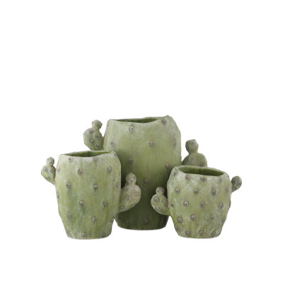 Cactus Vase Set Of 3