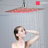 Rain Dual Shower Head 2.5 GPM GPM