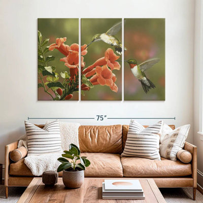 Hummingbirds And Trumpet Flowers
