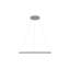 Luminaire suspendu DEL à deux tensions E817AFA75BE54FE9B69D543558AF932A-70358313-70358312