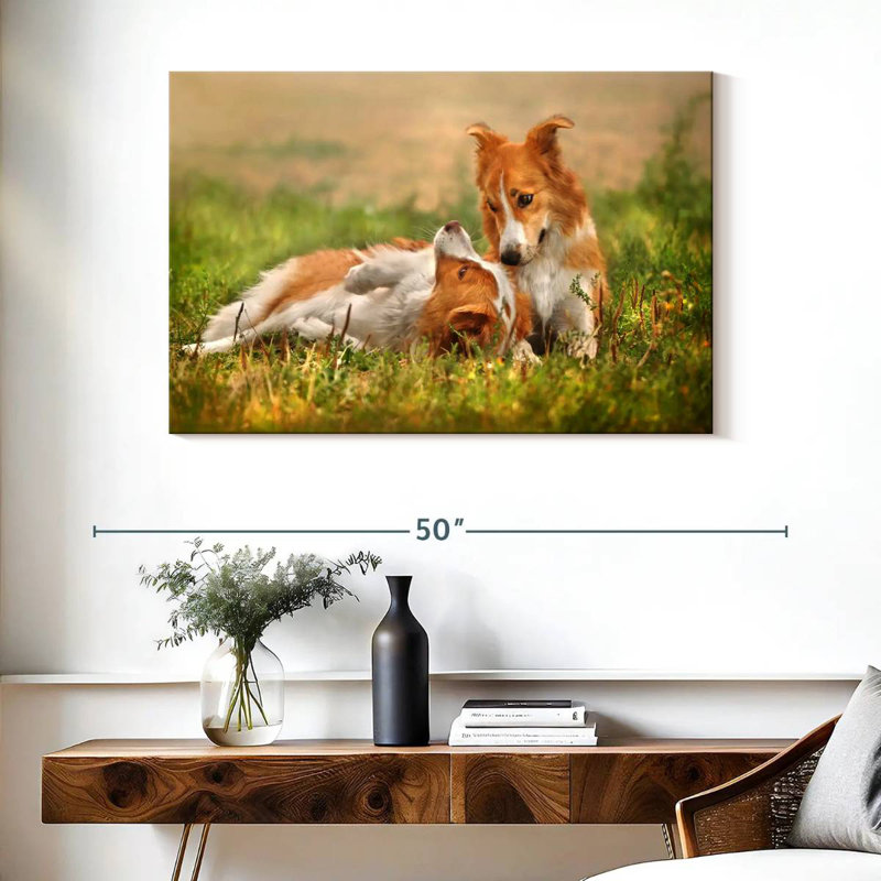 Brampt Border Collie Playtime, 26" H x 39" W
