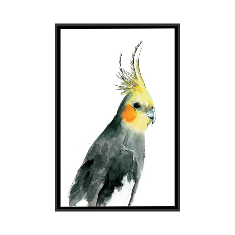 «Cockatiel II», reproduction sur toile, H 26 po x l 18 po x P 1,5 po, Toile avec cadre noir, Pas de tapis