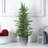 27'' Faux Cedar Tree in Cement Planter