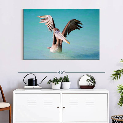 Pélican avec ailes déployées