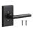 Ridgecrest Mountain Logan Dummy Lever-36614364