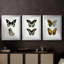 Papillons bleus antiques I - reproduction encadrée sur mesure de qualité supérieure mate - 3 pièces-701876150-701876151