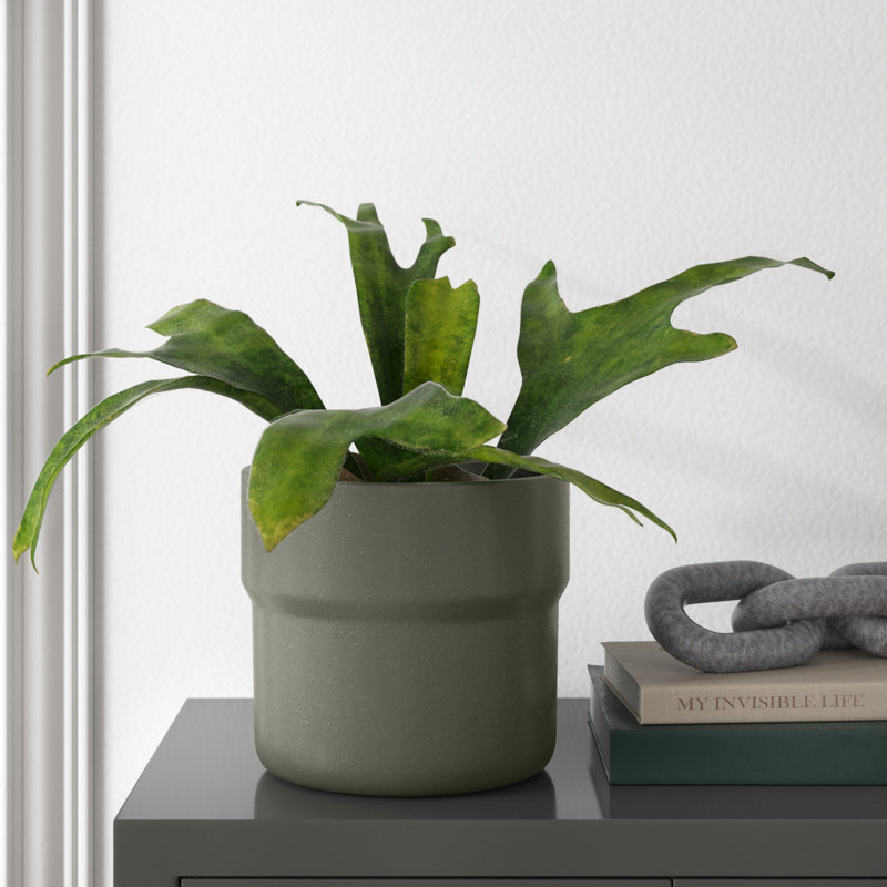 Mushroom Set of Three Ceramic Planters - 10" x 10" x 9", Green