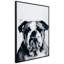 Bulldog - cadre photo, impression sur verre