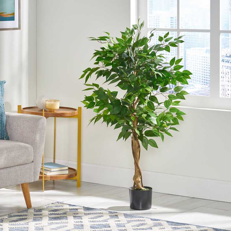 Faux Ficus Tree with Twisted Trunk and Realistic Glossy Leaves, 47.25" H x 23.5" W x 23.5" D