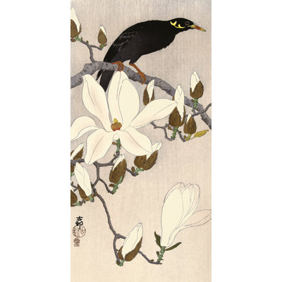 Myna On Magnolia Branch 1 Piece Wrapped Canvas Painting
