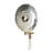 Maria Wall Sconce