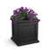 Anastasiya Planter Box