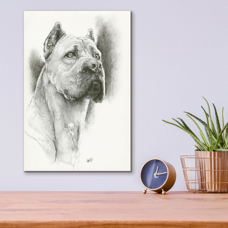 Dynamic by Barbara Keith - Unframed Drawing Print, 16" H x 12" W x 0.13" D
