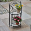 Raf Plant Stand
