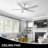Eggett 52'' Ceiling Fan with LED Lights