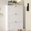 Lasherrie Shoe Storage Cabinet with 3 Flip Drawers-1632871620
