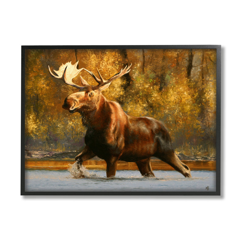 "Stupell Industries Moose Stepping River Foliage", art mural par Mark Kelso, H 11 po x l 14 po x P 1,5 po