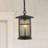 Semira 1 - Light Black Lantern Pendant
