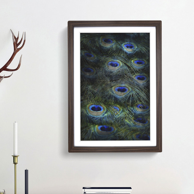 The Feathers of a Peacock - Picture Frame Painting Print, 87cm H x 62cm W x 2cm D, Walnut Framed
