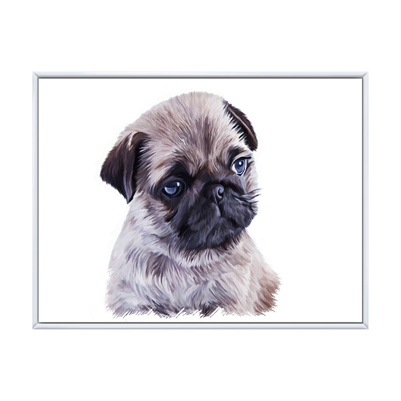 Portrait de chiot carlin - reproduction sur toile, H 12 po x l 20 po x P 1 po, Toile avec cadre flottant blanc