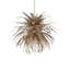 Abyssinia LED Chandelier