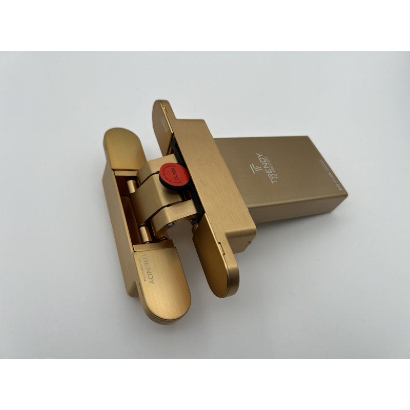 Charnières hydrauliques dissimulées or 2 pièces, Brushed Gold