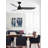 Annemijn 52" Indoor/Outdoor Ceiling Fan With LED Light Kit-2087995627