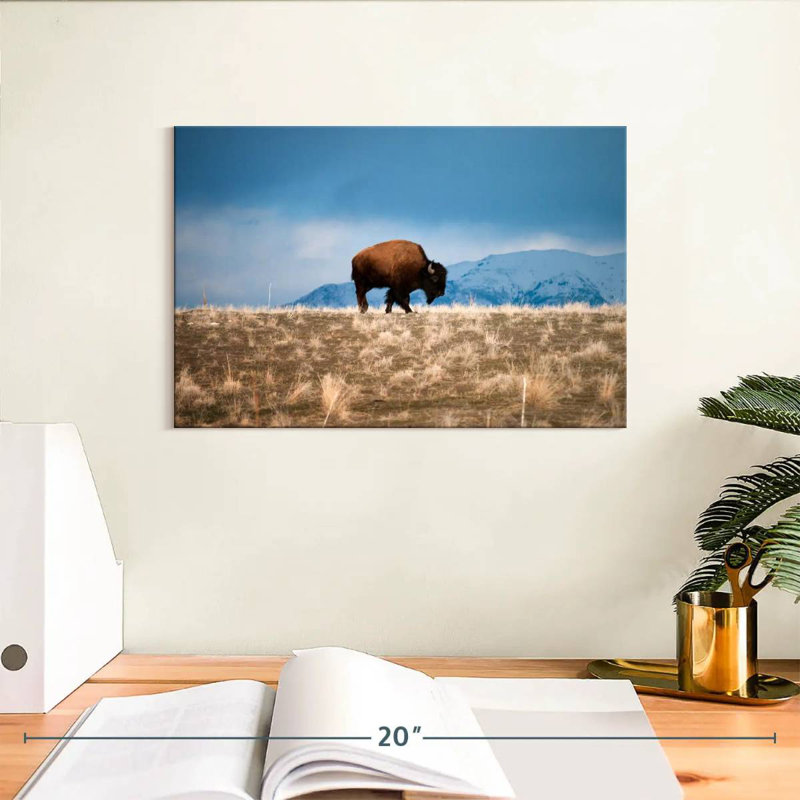 Brampt Antelope Island Bison