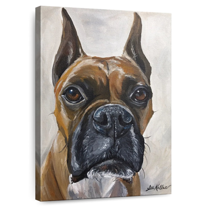 Boxer Brampt Kyleigh, H 24 po x l 16 po